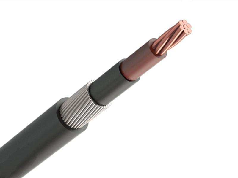 CU/PVC/PVC 0.6/1kV Single Core Unarmored Cable