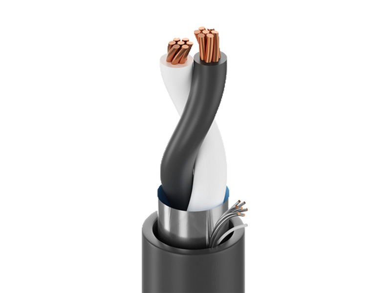 300/500V Instrumentation Cable 1 Pair Al-PET Tape Shield