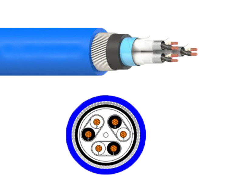 Armored Multi Pair Instrumentation Cable Individual and Overall Shield Cable